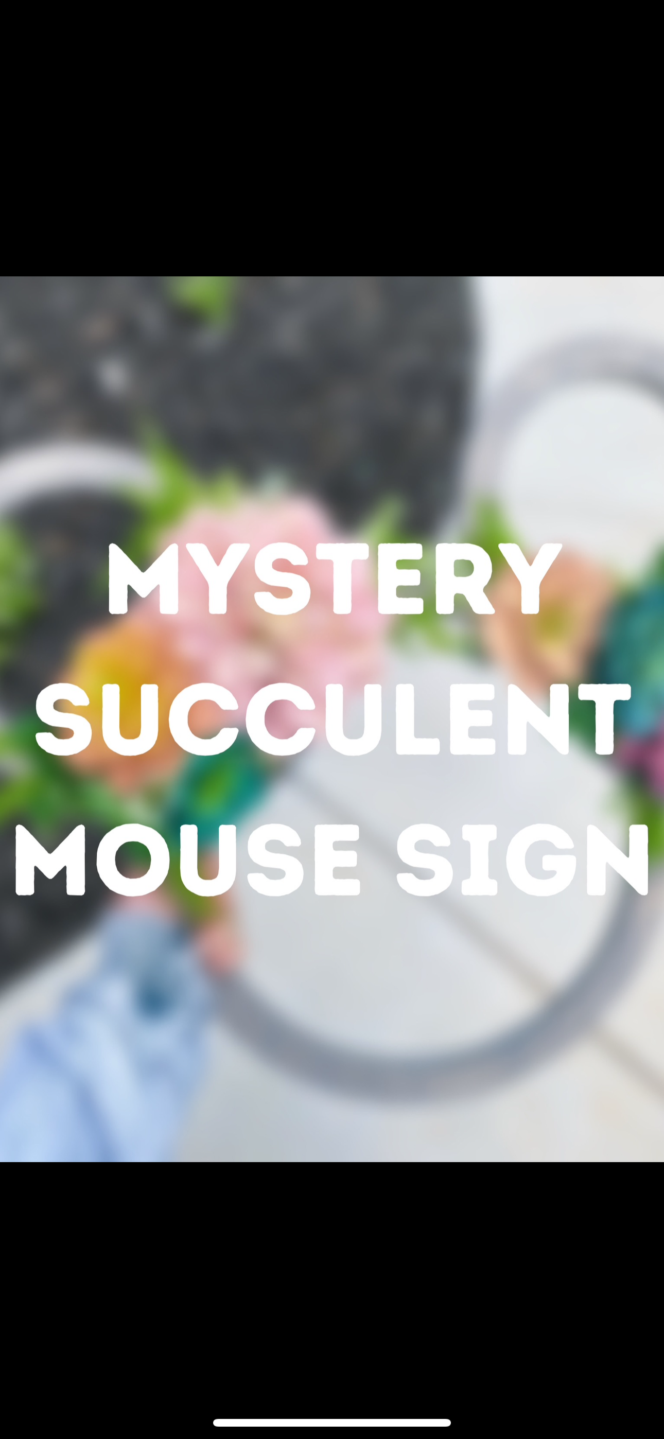 Mystery Succulent Mouse Sign