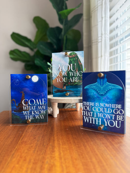 Wayfinding Princess Mini Block Set