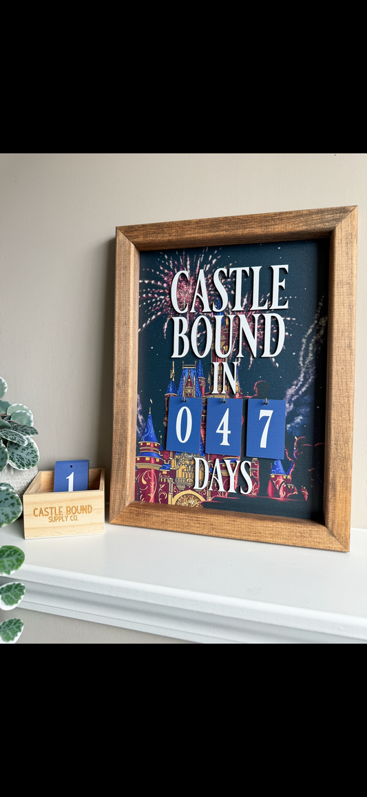 Nighttime Spectacular Castle Countdown