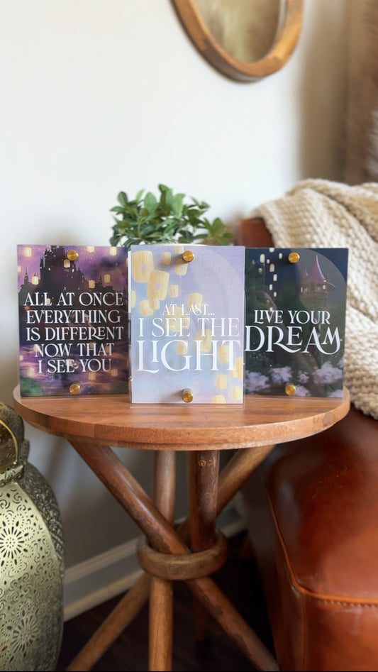 Tangled Princess Mini Block Set